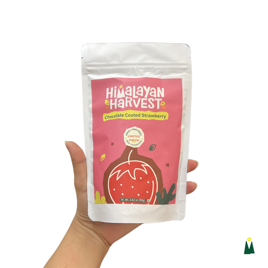 Chocolate Coated Freeze-Dried Strawberry
