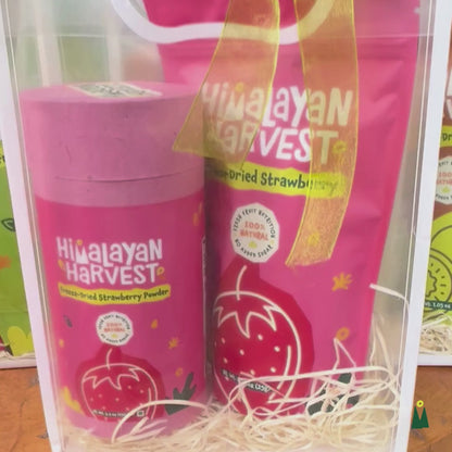 Large Gift Bag